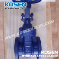 DIN F4 Rising Stem Gate Valve (Z41H)